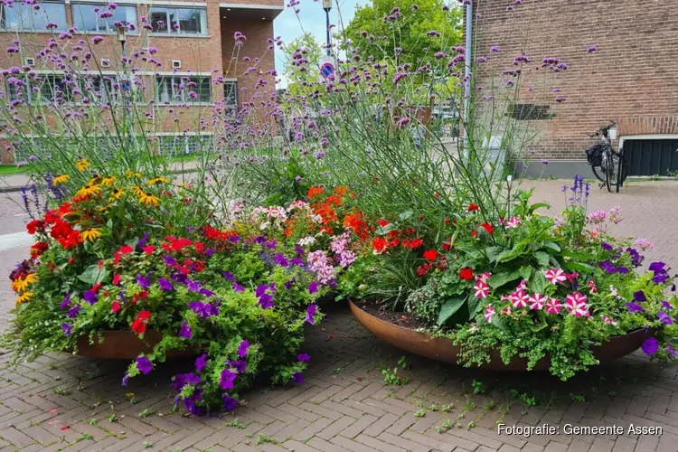 De bloemen in de bloemschalen bloeien nog volop