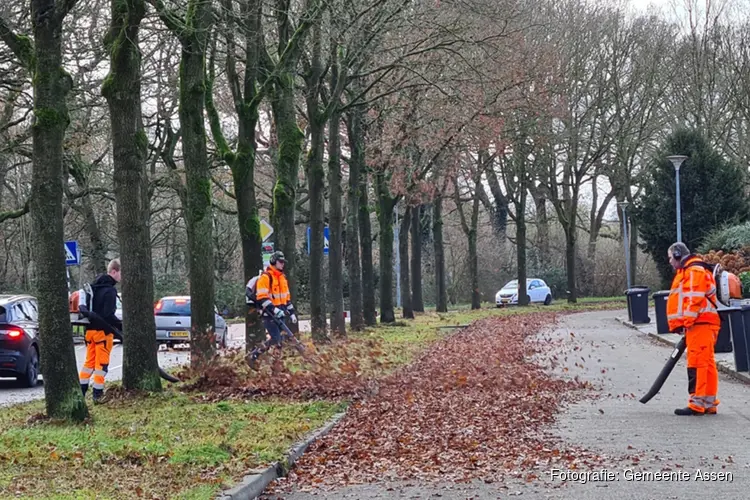 We ruimen bladeren op voor de veiligheid