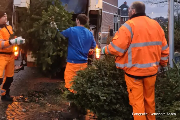 De jaarlijkse kerstboomopruiming: een blik achter de schermen